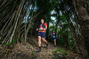 BIB: 
                            <button type="button" onclick="openModal(19395686)" class="btn btn-primary btn-sm float-right btn-popup" data-toggle="modal" data-target=".modal-high-quality">
                        <i class="fas fa-shopping-cart"></i> Add to Cart
                    </button>
                                            <button type="button" onclick="isThisMe(19395686, true)" class="btn btn-success btn-sm float-right btn-popup btn-isme hidden" data-toggle="tooltip" data-placement="bottom" title="นี่คือรูปของคุณใช่ไหม คลิกที่นี่เพื่อเอาเข้าอัลบั้ม">
                        <i class="fas fa-plus"></i> Add to album
                    </button>
                    <button type="button" onclick="isThisMe(19395686, false)" class="btn btn-warning btn-sm float-right btn-popup btn-isnotme hidden">
                        <i class="fas fa-ban"></i> Remove from album
                    </button>